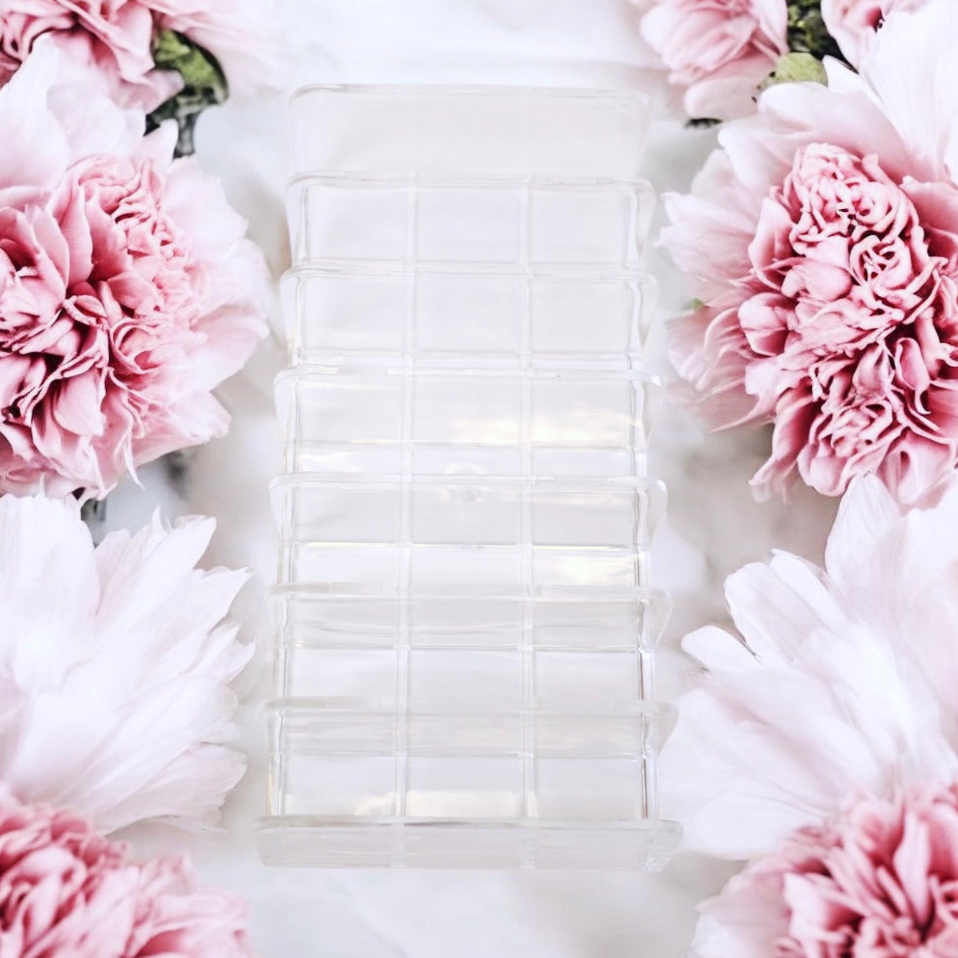 Crystal Cash Divider