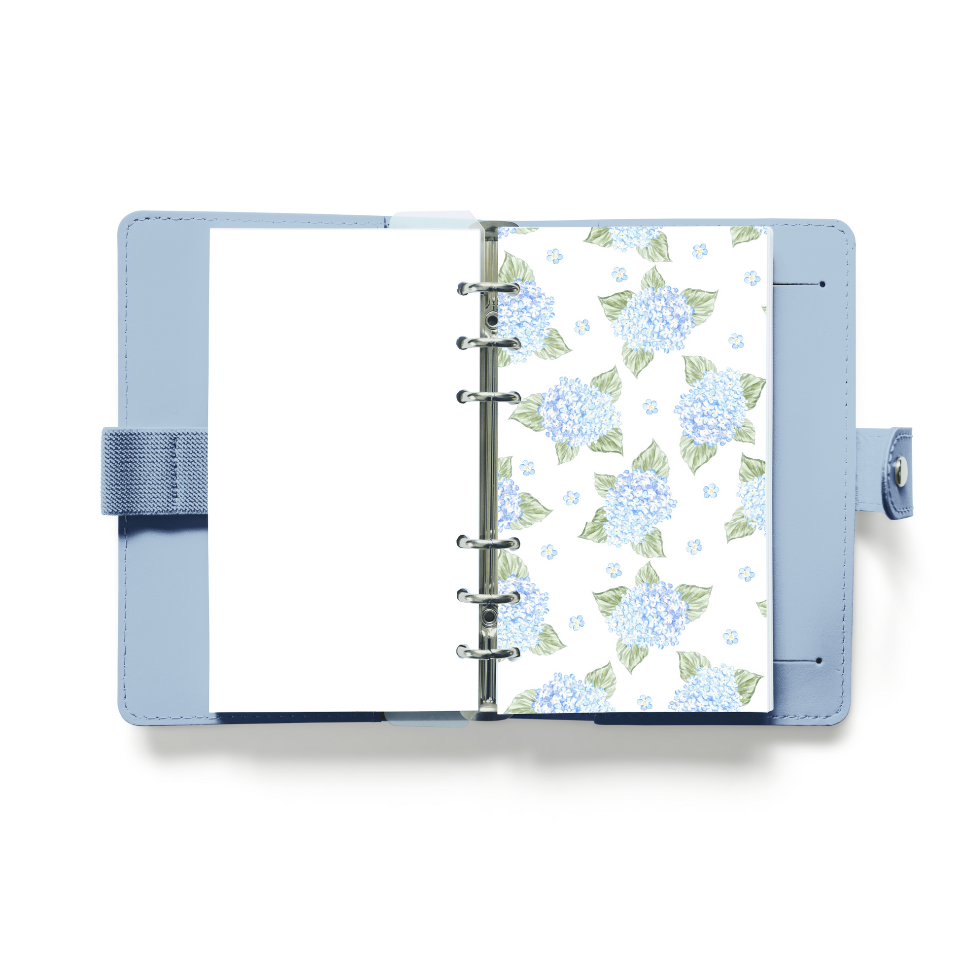 Hydrangea Grace Dash